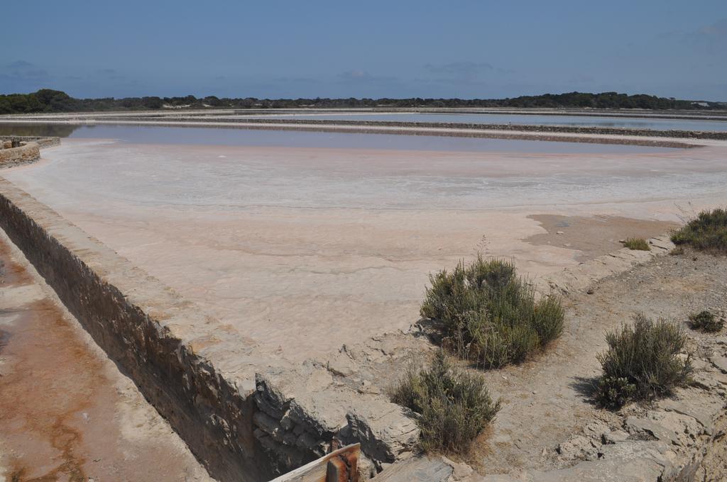 Viviendas Turisticas S'Estanyol La Savina  Exterior foto