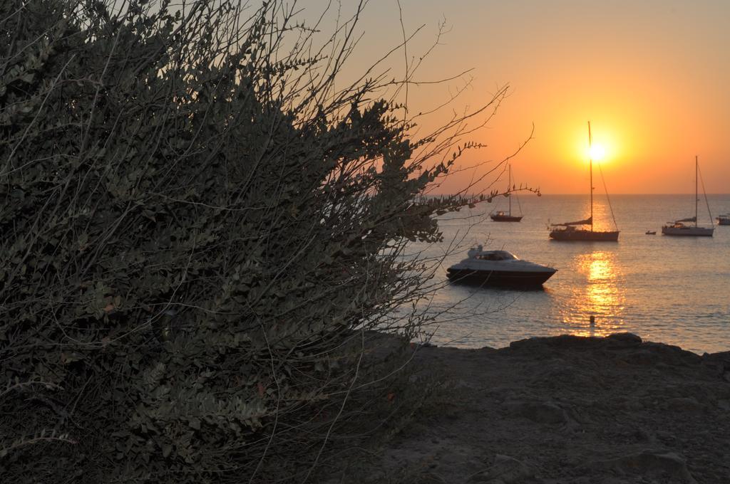 Viviendas Turisticas S'Estanyol La Savina  Exterior foto